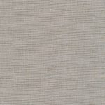 22-theis-camel-the02_orig