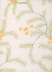 9-cassia-zest-css02_orig