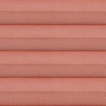 C2302-Ginger-Spice