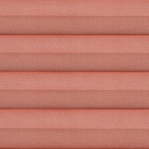 C2302-Ginger-Spice