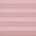C2304-Rose