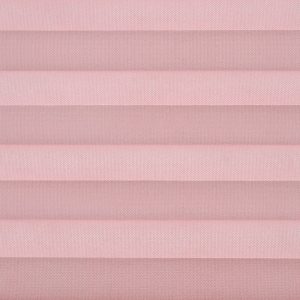 C2304-Rose