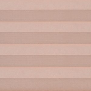 C2305-Coral