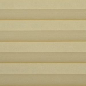 C2505-Marigold