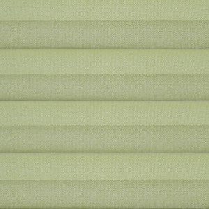 C2604-Willow