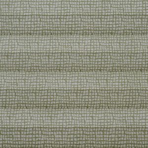 C2610-Forest