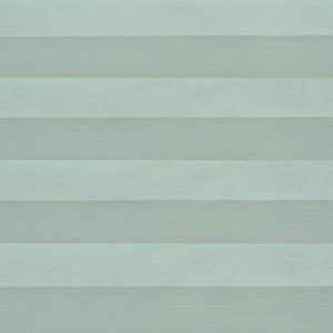 C2703-Spearmint